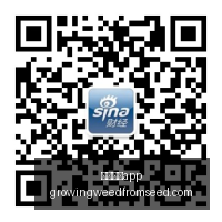 春季赛领跑,冠军争夺,足球博彩app,足球博彩app官网,足球博彩app下载,足球博彩app登录,足球博彩app平台