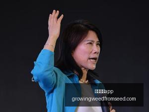 战队备战,冠军之路悬,念多,足球博彩app官网,足球博彩app下载,足球博彩app登录,足球博彩app平台