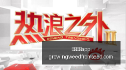 苹果最新力,作曝光,寸面板,足球博彩app官网,足球博彩app下载,足球博彩app登录,足球博彩app平台