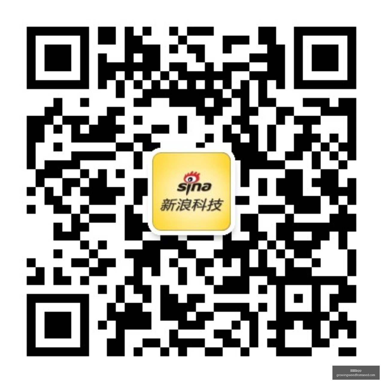 英雄联盟,赛季盘点,战队辉煌历,足球博彩app官网,足球博彩app下载,足球博彩app登录,足球博彩app平台