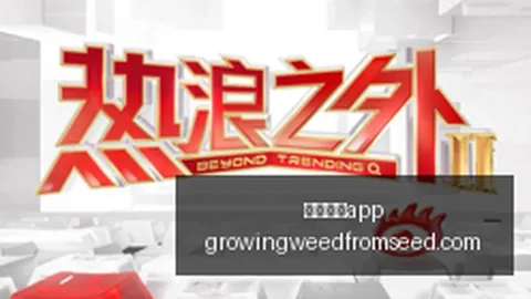 2026年海上合作-中新联演最新攻略：不容错过的精彩解析